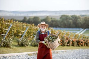 tours privados en la región de Champaña Francia